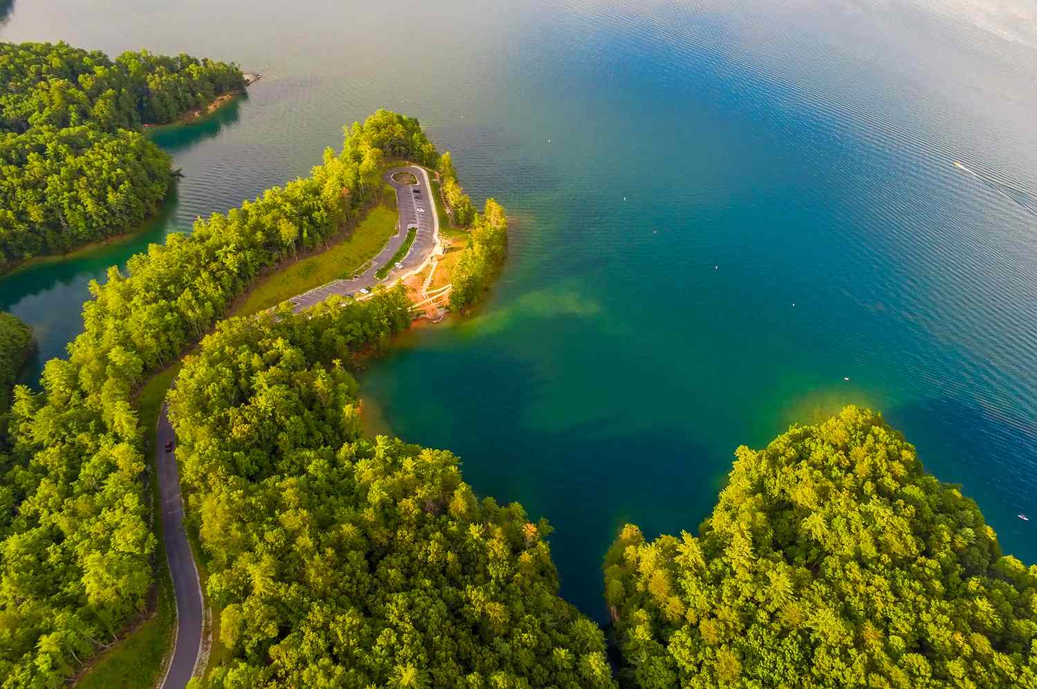Whispers of a Lost World: Dive into South Carolina's Ethereal, Submerged Ghost Town 9