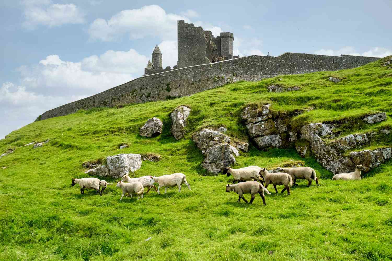 Emerald Isles & Regal Estates: Unveiling Ireland's Most Enchanting Castle Escapes 41