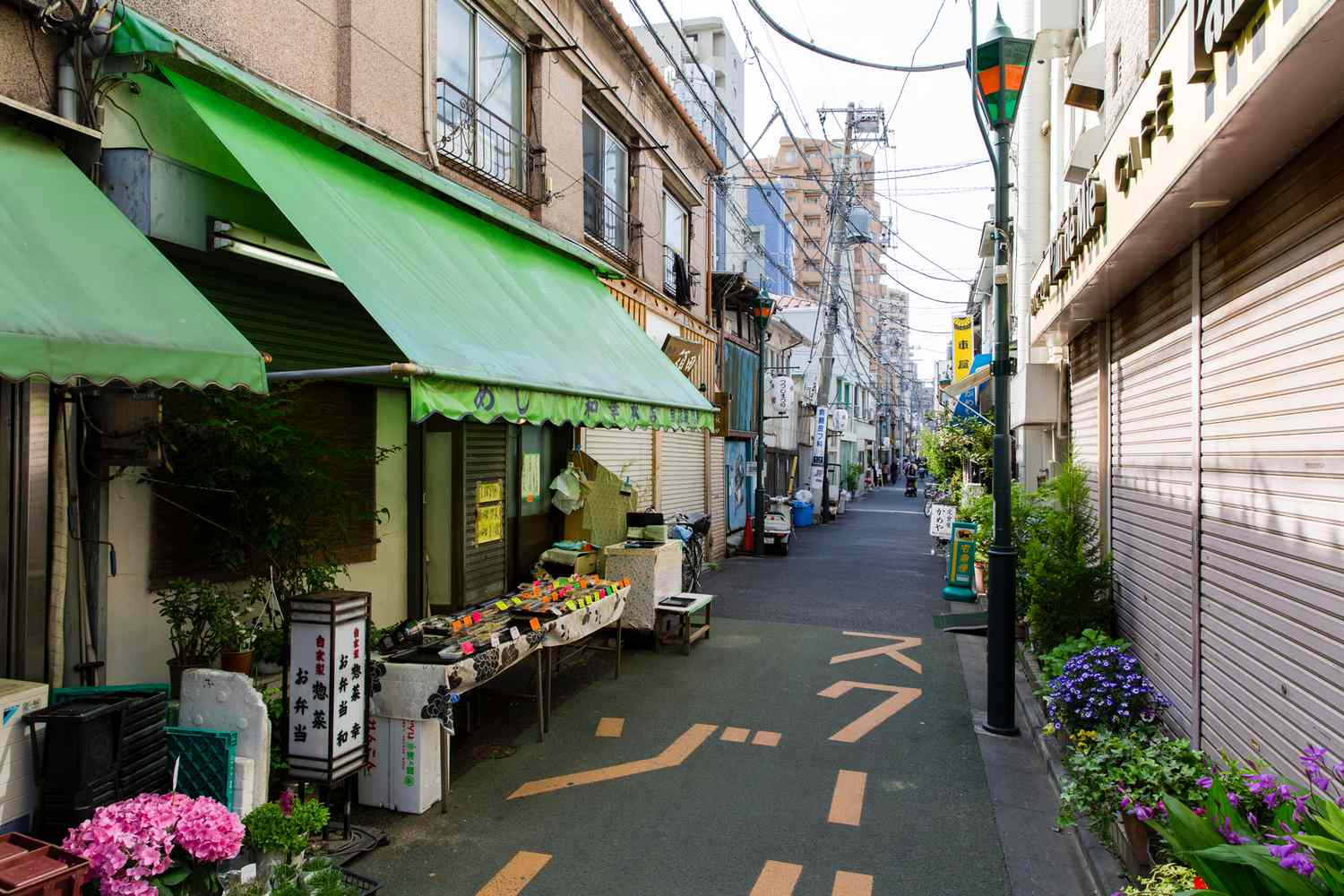Tokyo's Undiscovered Soul: Insider Secrets from a Local Luminary 30