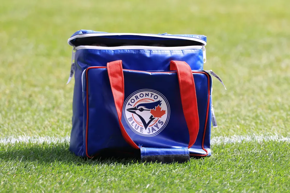 Blue Jays' Bold Roster Shake-Up: A Strategic Gamble or A Stunning Misstep? 2