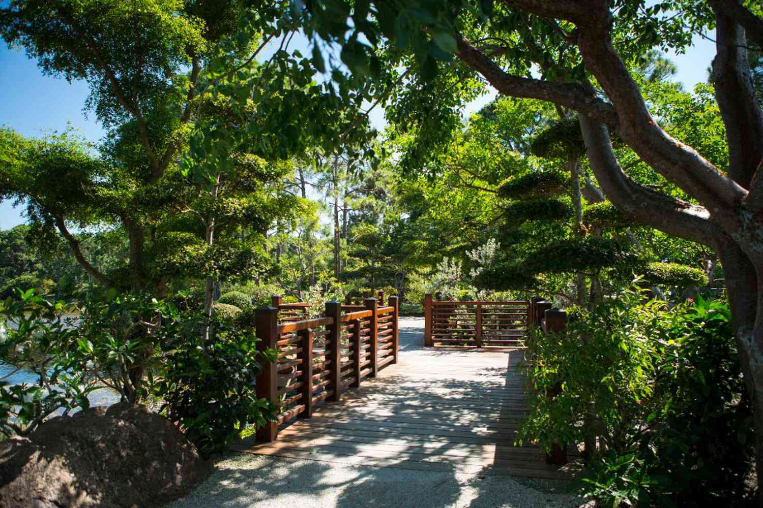 Florida's Secret Shores: Unveiling Unspoiled Escapes Beyond the Tourist Trail 26