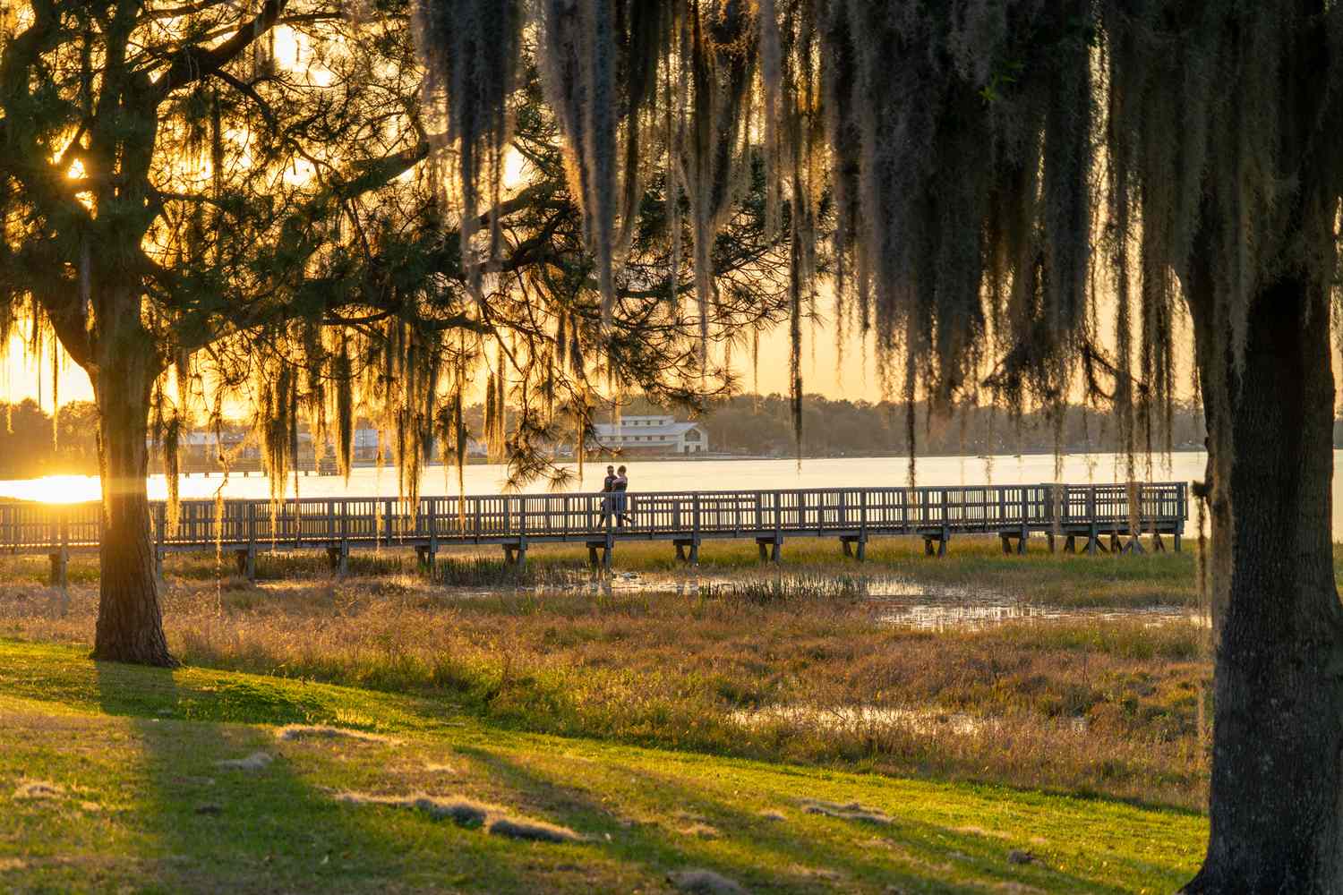 Whispers of the Water: Discover Florida's Secret Lake Havens 16
