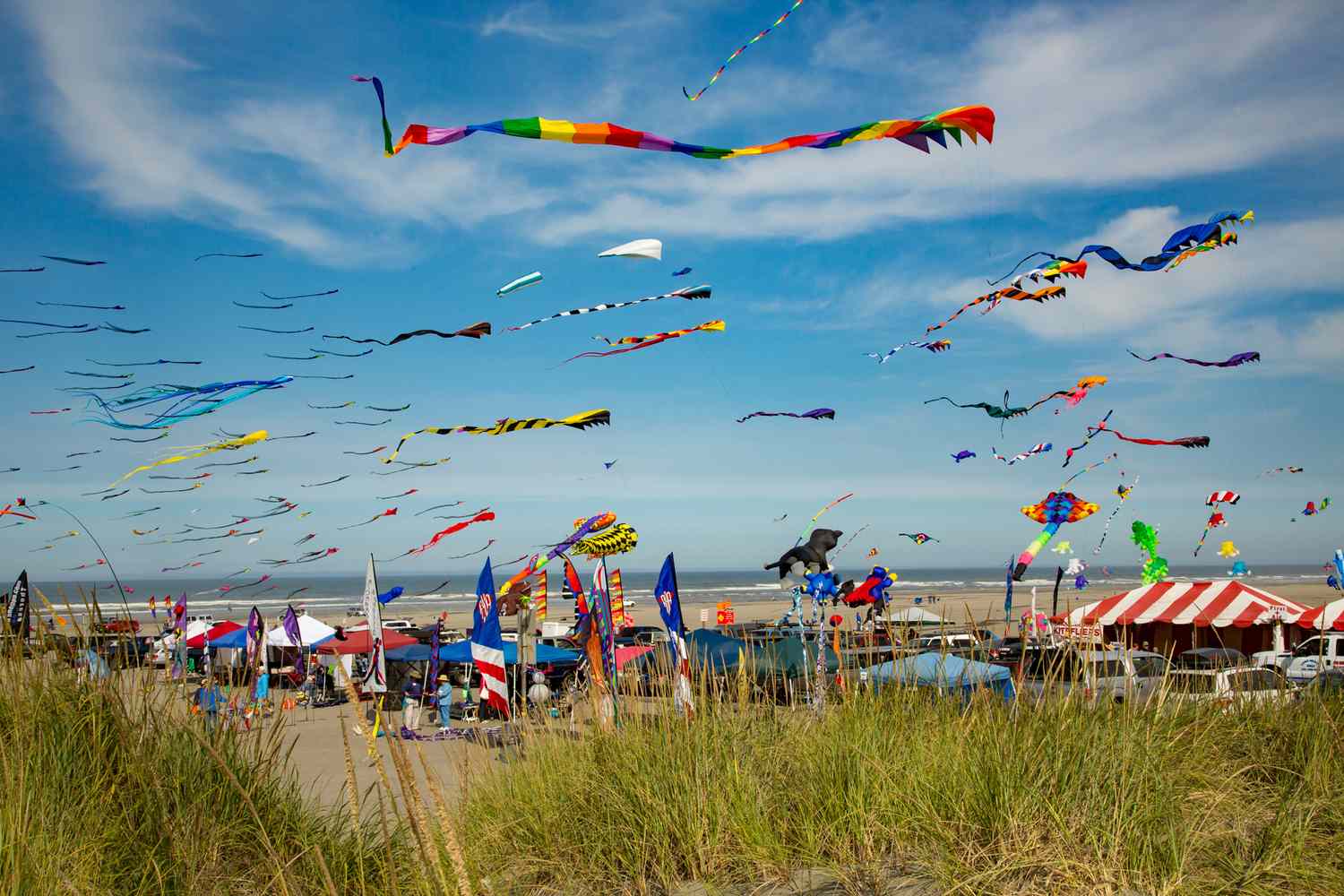 Enchanting Enclaves: Discover the Pacific Northwest's Most Captivating Coastal Gems 16