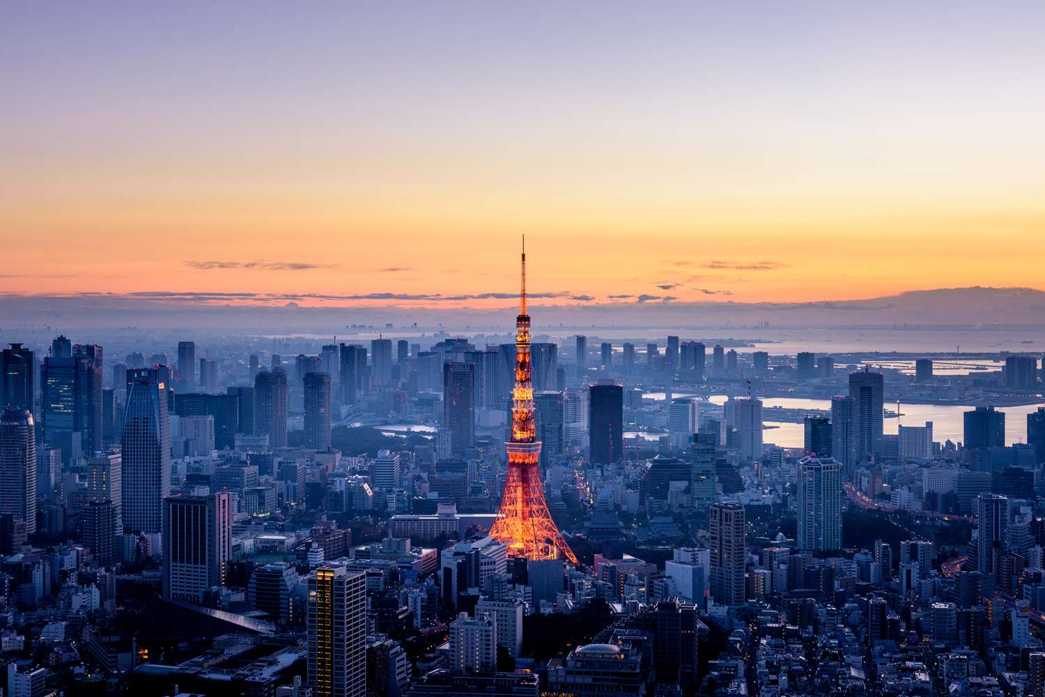 Tokyo's Undiscovered Soul: Insider Secrets from a Local Luminary 16