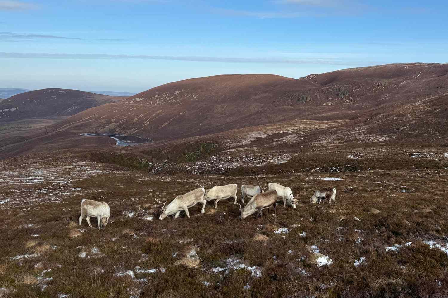 Whispers of the Highlands: Royal Estates, Spirit Sojourns, and Untamed Cairngorms Majesty 11