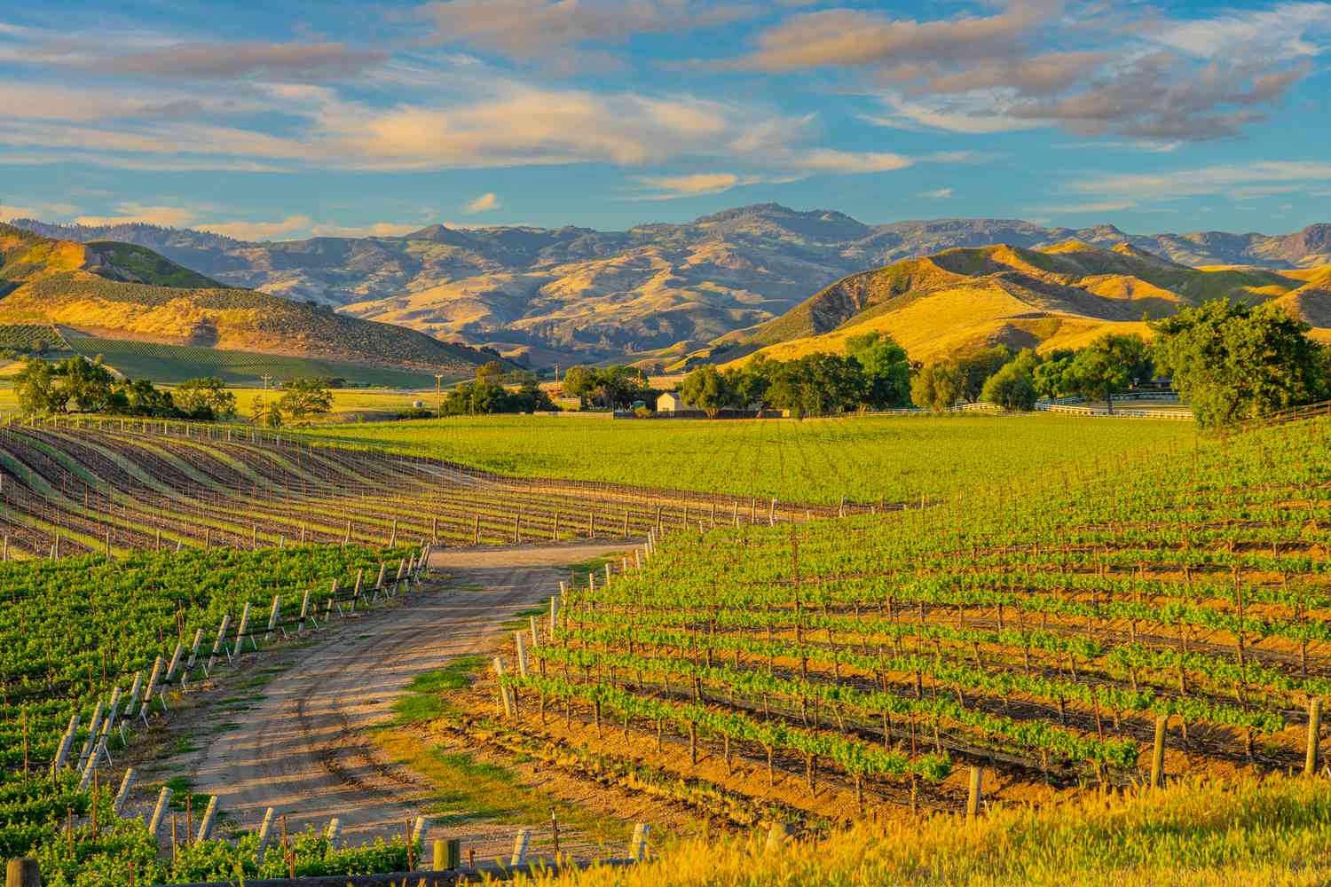 California's Best Kept Secrets: A Local's Guide to the Unspoiled 16