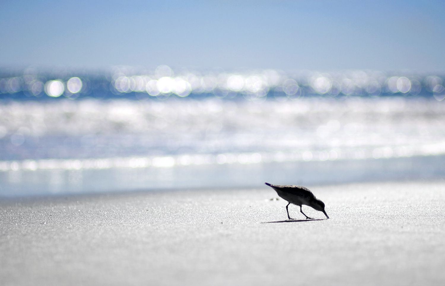 Coastal Carolina's Crown Jewels: Discover North Carolina's Most Exclusive Sands 25