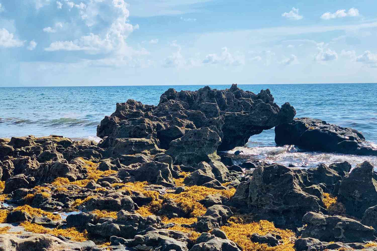 Florida's Secret Shores: Unveiling Unspoiled Escapes Beyond the Tourist Trail 38