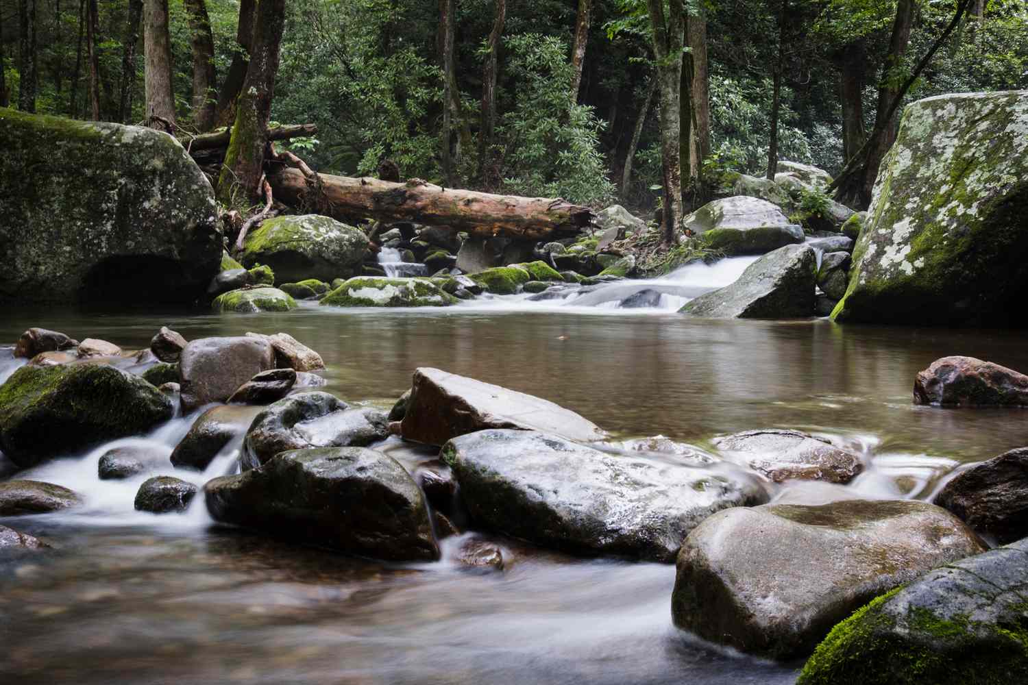 Whispers of the Smokies: Discover Tennessee's Most Exclusive Mountain Escapes 19