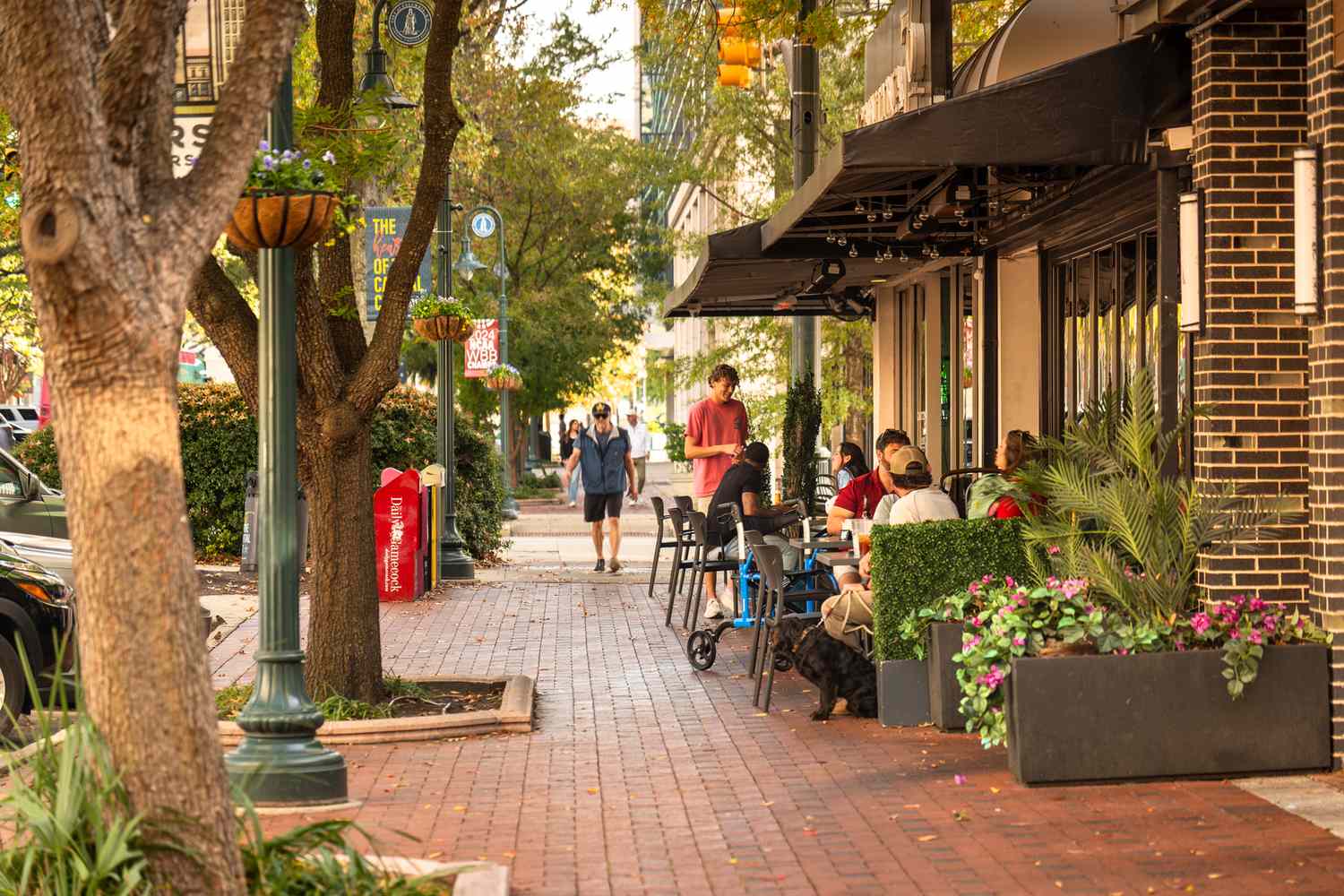 Columbia's Southern Charm: An Unforgettable Southern Sojourn 8