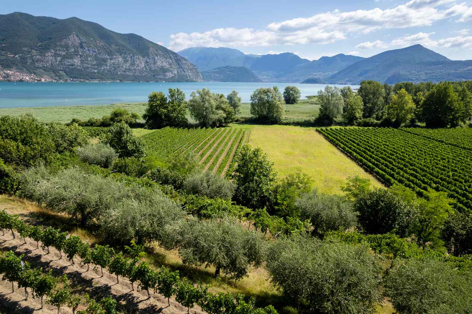 Beyond Como: Discover Lake Iseo's Untamed Elegance 11