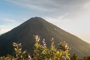 The Odyssey Unveiled: Where Journeys Become Legacies 25