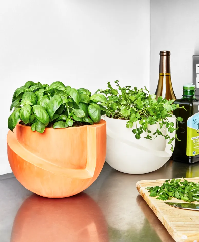 Emerald Elixir: Cultivating Heritage, Nurturing Elite Living 20