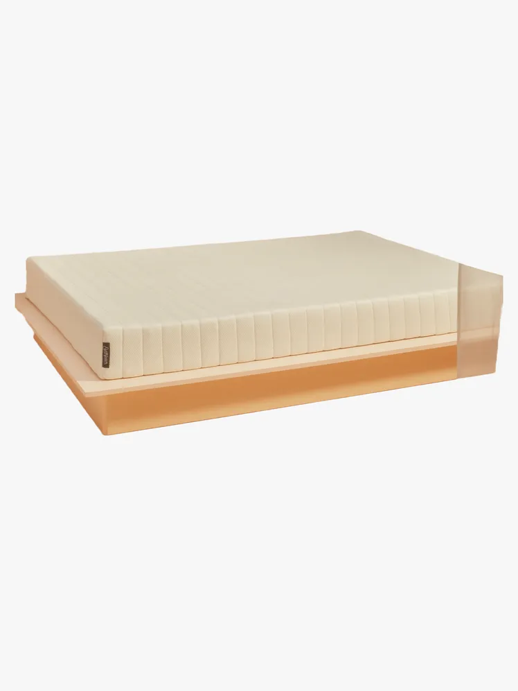 AD's Curated Pantheon: Elite Sleep, Crafted for Legacy. 16
