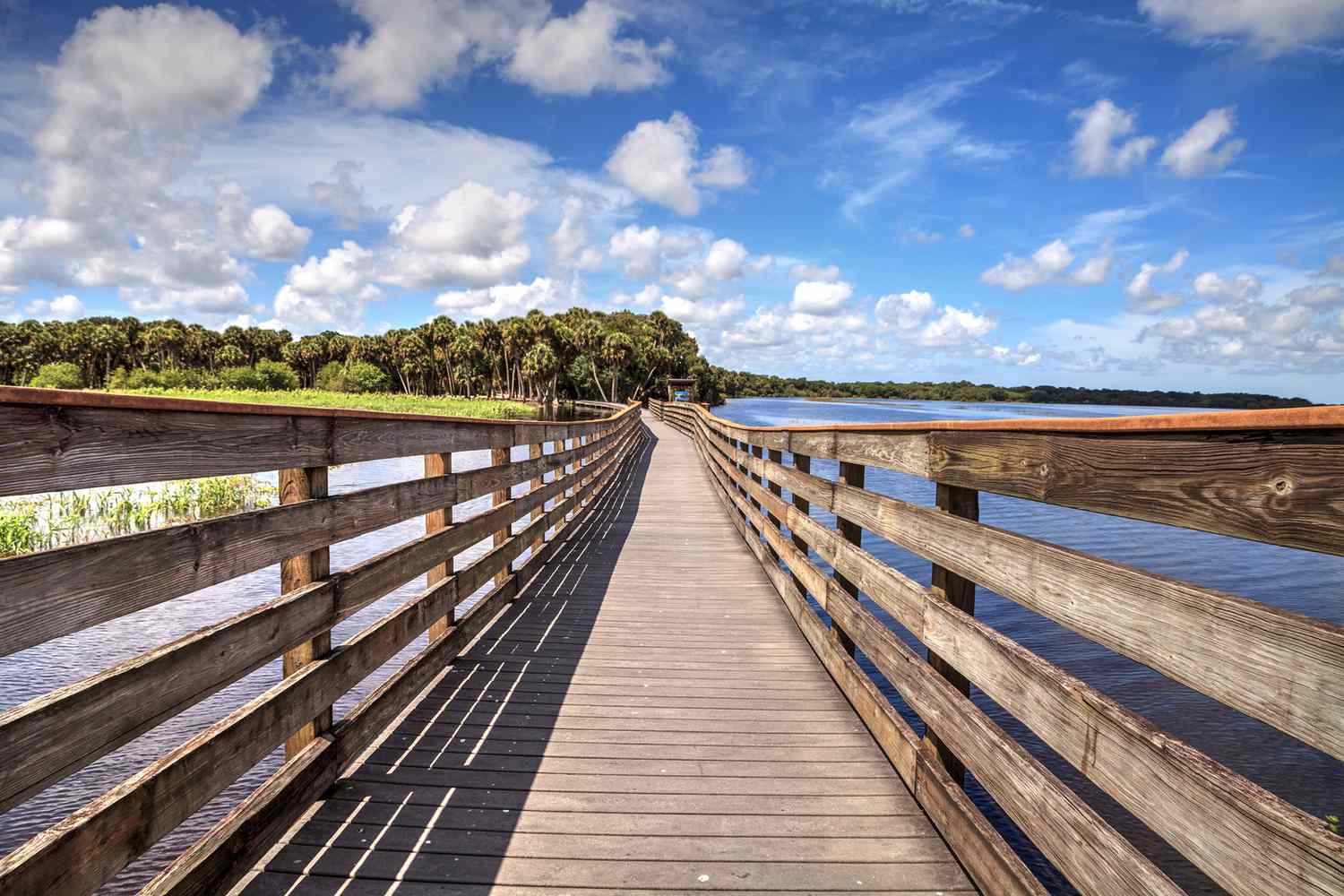 Florida's Secret Shores: Unveiling Unspoiled Escapes Beyond the Tourist Trail 34