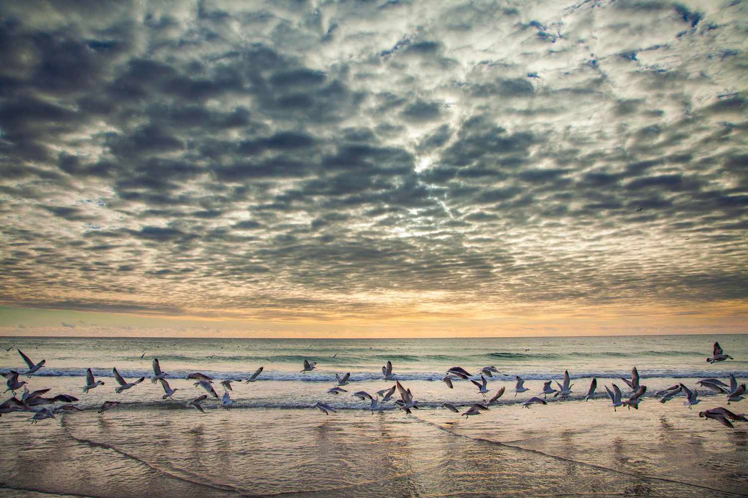 Coastal Carolina's Crown Jewels: Discover North Carolina's Most Exclusive Sands 22