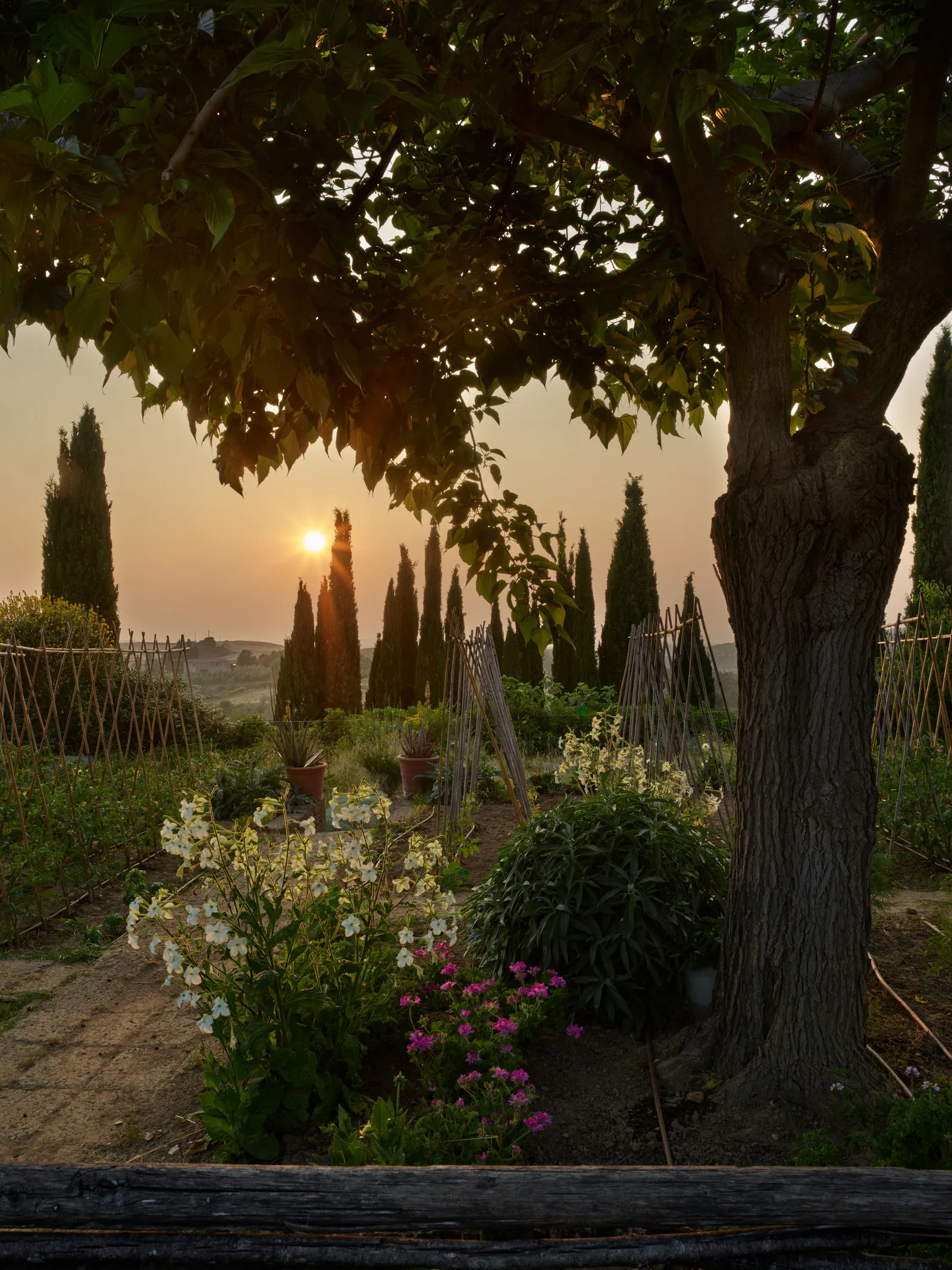 Tuscan Legacy: Where Centuries Converse with Contemporary Canvas 22