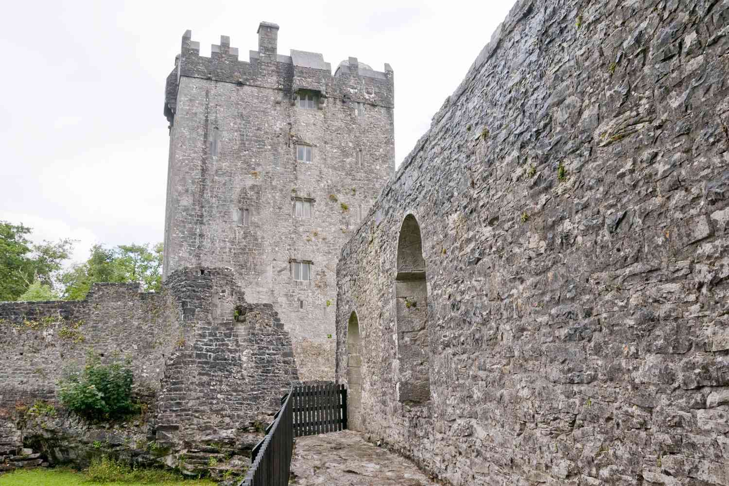Emerald Isles & Regal Estates: Unveiling Ireland's Most Enchanting Castle Escapes 30
