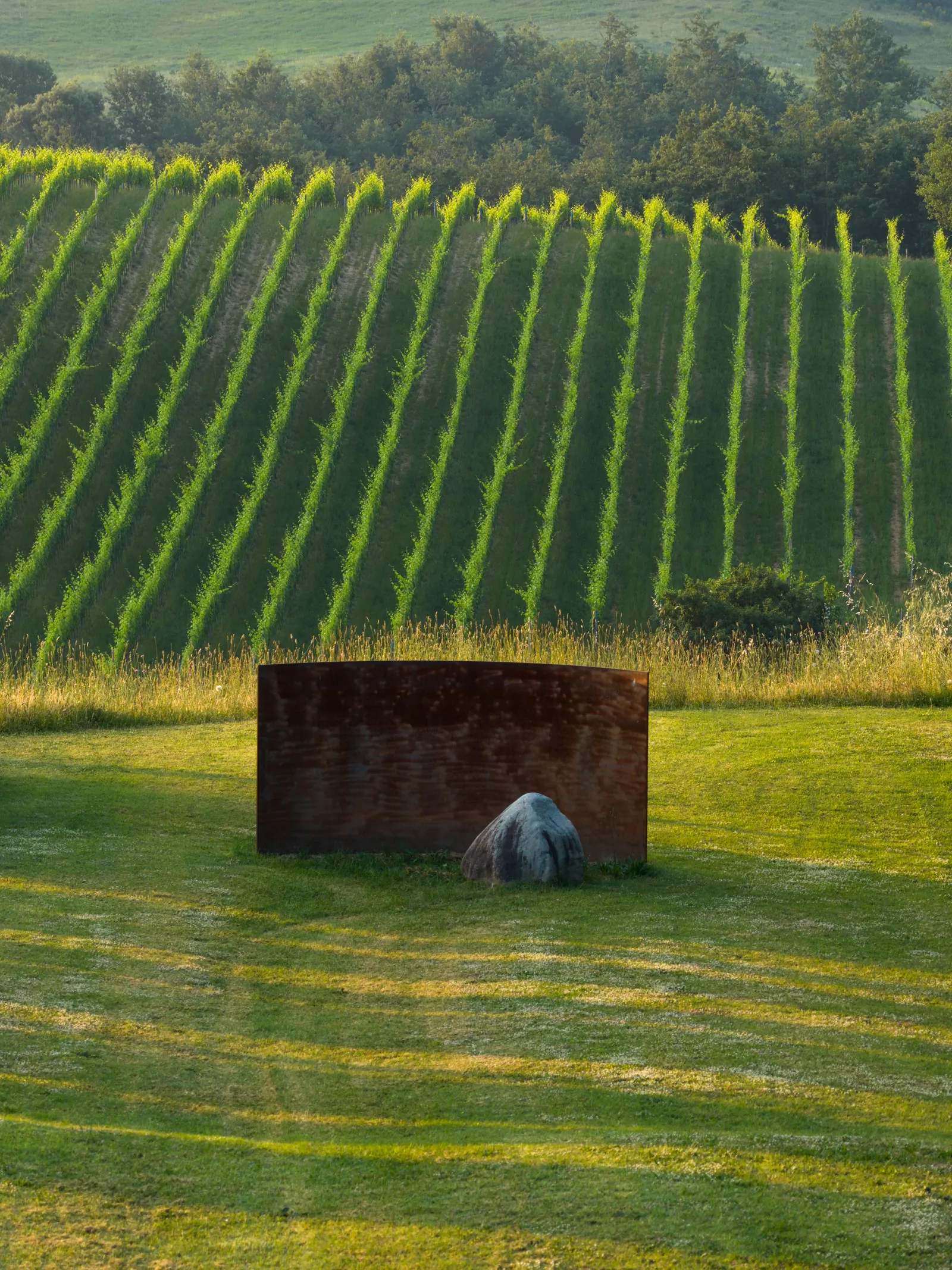 Tuscan Legacy: Where Centuries Converse with Contemporary Canvas 21