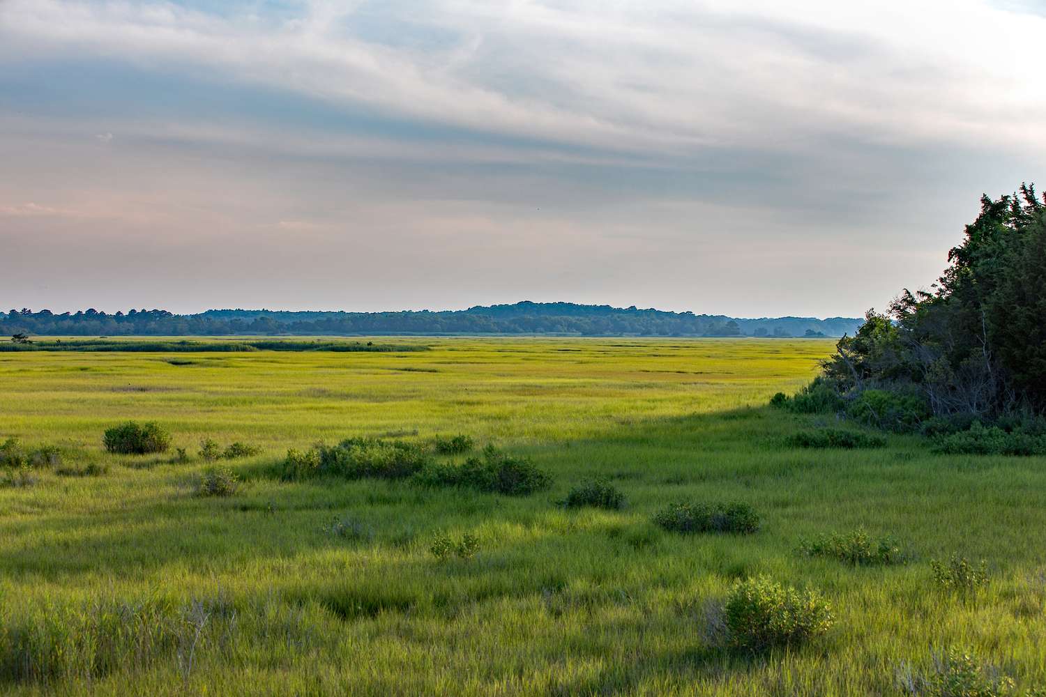 Coastal Chic: Unveiling Lewes, Delaware's Coastal Charm 8