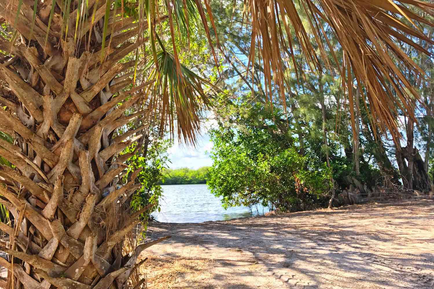 Florida's Secret Shores: Unveiling Unspoiled Escapes Beyond the Tourist Trail 22