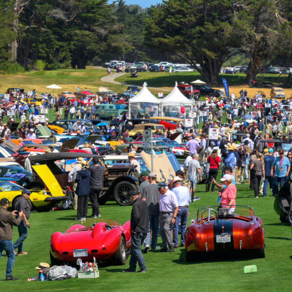 Hillsborough Concours: A Gallery of Automotive Excellence