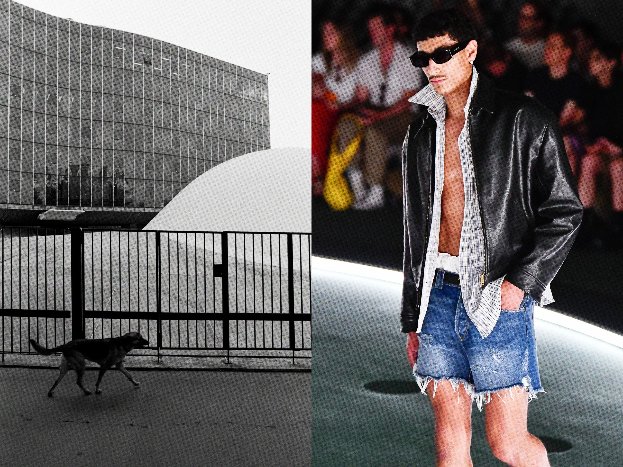 Chavarria's Bold Statement: Paris Edition 6